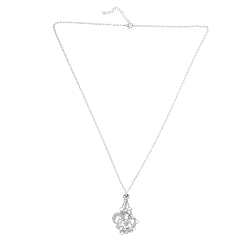 FRCOLOR Kristallkäfig Halskette mit Verstellbarem Edelstahlband Natürlicher Kristallsteinhalter Anhänger Langlebiger Schmuck für Damen und Herren Einzigartiges Design für Festivals und von FRCOLOR