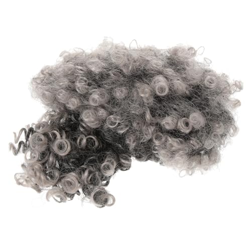 FRCOLOR Lockige Haarperücke Frauenperücken Kurzes Haar Perücken Für Teenager-mädchen Kurze Perücke Cosplay Lockige Kurze Perücke Damenperücken Kurz Leimlos Spitze Grau Hochtemperaturdraht von FRCOLOR