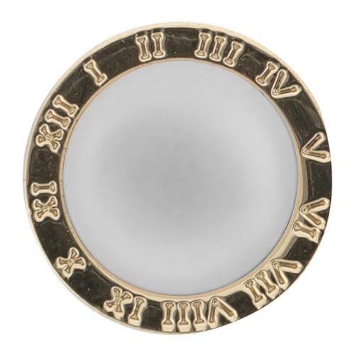 FRCOLOR Magnetische Anstecknadel Für Schals Und Schleiergewichte Dekorative Magnetknöpfe Nähen Leicht Zu Tragen Für Partys Business Und Besondere Anlässe von FRCOLOR