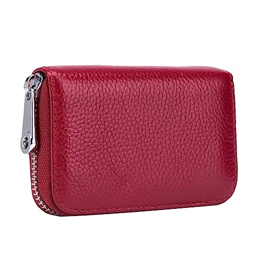 FRCOLOR RFID Kartenetui Tragbare Geldbörse für Reisen 12 Fächer Kompakt und Sicher Kartenhalter für Herren von FRCOLOR