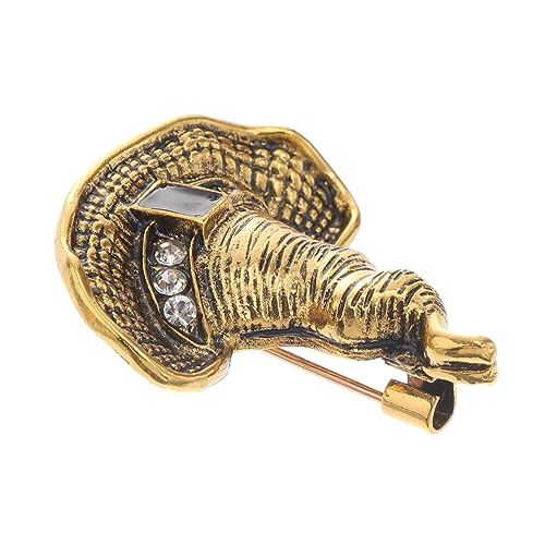 FRCOLOR Hutbrosche Hexenhut Broschennadel Brosche für Damen Kleiderbrosche für Hochzeiten Partys und Alltagsmode von FRCOLOR