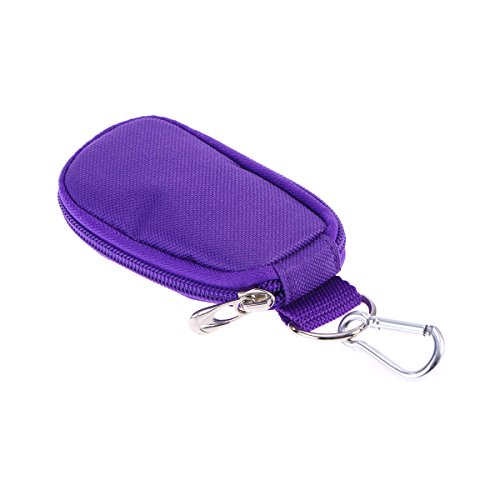 Frcolor Schlüsselbund ätherisches Öl Tragetasche hält 10 Flaschen 2 ml für Reisen oder Home Storage (lila) von FRCOLOR
