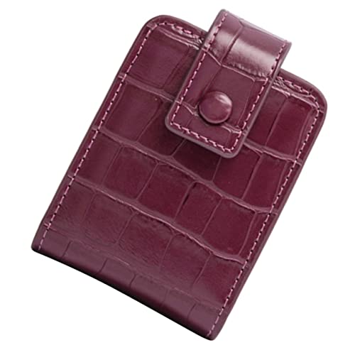 FRCOLOR Lippenstiftetui Mit Spiegel Für Handtasche Mini-Kosmetiktasche Aus Aufbewahrungstasche Für Damen Kompakt Und Praktisch Für Reisen Und Ausflüge von FRCOLOR