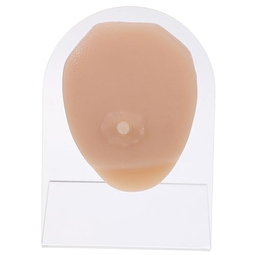 FRCOLOR Silikon Brustwarzenpiercing Modell Für Übung Piercing Männer Simulations Lehrmittel Praxis Requisiten Schmuckpräsentation Haltbar von FRCOLOR