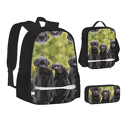 FRGMNT Bananenblatt Rucksack Schule Büchertaschen Set Lunchtasche Federmäppchen Schulrucksäcke für Teen Mädchen Jungen, Labrador Retriever Hund, Einheitsgröße, Schulrucksack von FRGMNT