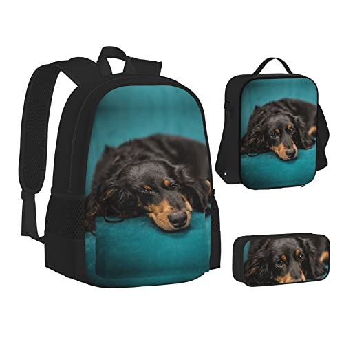 FRGMNT Spring Dogwood Blüten Rucksack Schule Büchertaschen Set Lunchtasche Federmäppchen Schulrucksäcke für Teen Mädchen Jungen, Dackel Hund, Einheitsgröße, Schulrucksack von FRGMNT