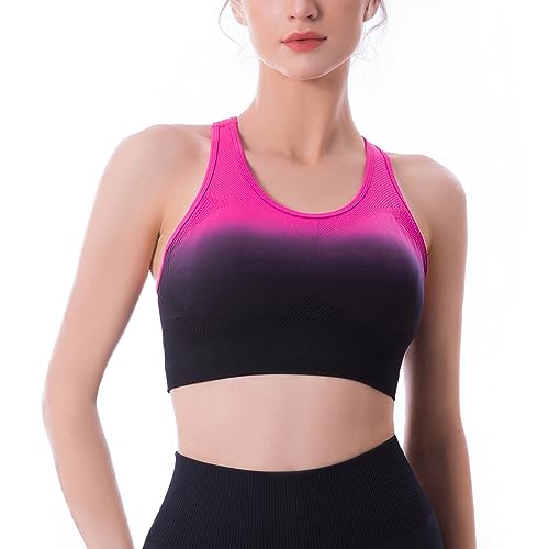 Sport BH für Damen Nahtlos Mit Polsterung Unterstützung gekreuzter Rücken Running Fitness Yoga BH von FRHXUN