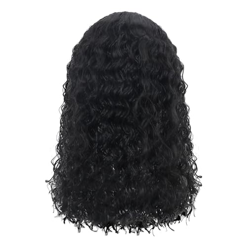 Damen Perücke Lang Wellig Lockige Natürlich Farbe lange locken Volles Haare Peruecke für Frauen (Black, 26) von FRMUIC