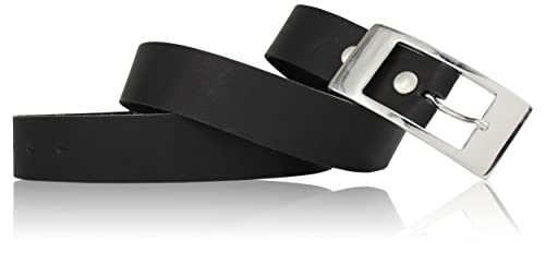 FRONHOFER klassischer Gürtel Damen Echtledergürtel ca 3,5 cm Dornschließe rechteckig matt silberfarbig, 18263, Größe:Körperumfang 95 cm/Gesamtlänge 110 cm, Farbe:Schwarz von FRONHOFER