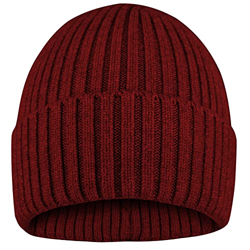 FRFSOHEWIN Mütze Beanie Unisex Wintermütze Strickmütze Winter Haube für Damen Herren Weich Warm Stretch Bequem Atmungsaktiv Burgunderrot von FRSOHEWIN