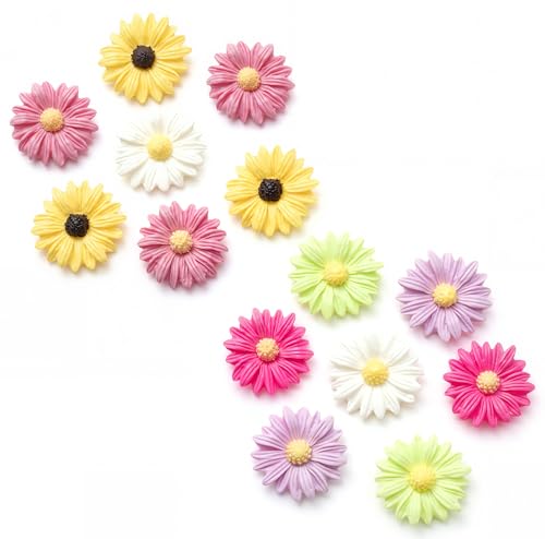 FRUOR Gänseblümchen-Schuhanhänger-Set, 14 Stück, ästhetische Blütenblatt-Schuhanhänger, ästhetisch für Damen und Kinder FRUOR Gänseblümchen-Schuhanhänger-Set, 14 Stück, ästhetische Blütenblatt-Schuhanhänger, ästhetisch für Damen und Kinder von FRUOR
