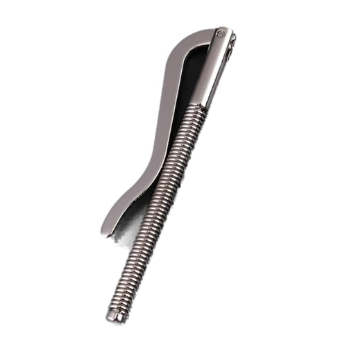 FTVOGUE Brieftasche Geldclip DIY -Werkzeug 5pcs Silver Spring Clamp/Holder, Anti -Korrosion Metallmaterial für Lederbrieftaschen, Damit Männer oder Frauen Bargeld Behalten Können von FTVOGUE