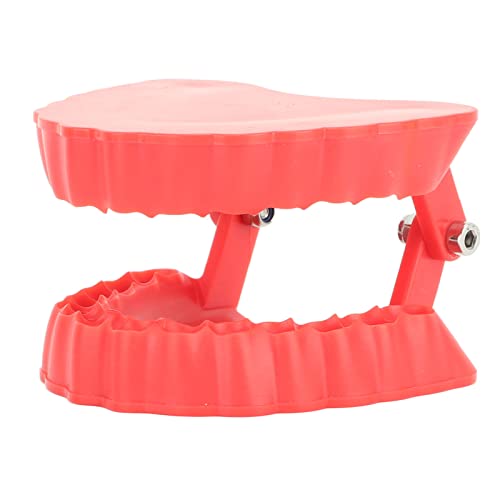 FTVOGUE Zahnersatz Schraubendreher Organizer Kompakt und Leicht zu Tragenes Bithalter mit Lebensechter Menschlicher Kaugummi -Schreibtischdekor für Männer Einzigartige Geschenkidee (Ohne Bits) von FTVOGUE