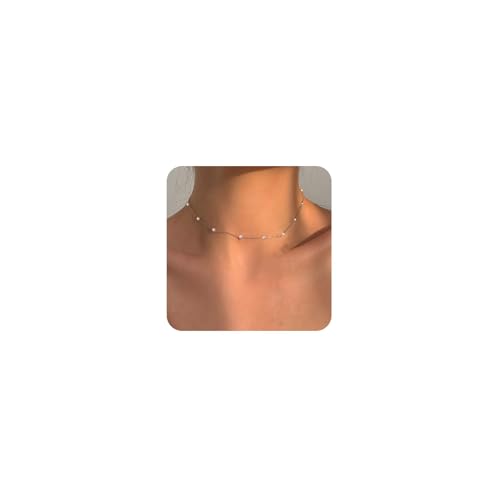 FUNEIA Perlen Kette Damen Frauen Gold Silber Halskette mit Süßwasserperlen Mädchen Teenager Weiße Perle Choker Kette für Freundin Strang Hochzeit Abschlussball Braut Perlen Modeschmuck Geschenke FUNEIA Perlen Kette Damen Frauen Gold Silber Halskette mit Süßwasserperlen Mädchen Teenager Weiße Perle Choker Kette für Freundin Strang Hochzeit Abschlussball Braut Perlen Modeschmuck Geschenke von FUNEIA