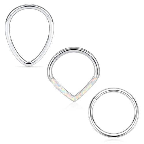FUNLMO 4 Stück / 3 Stück Septumringe Nasenringe 316L Chirurgenstahl Daith Rook Tragus Helix Conch Piercing Schmuck Knorpelohrring für Damen Herren, Kein Edelstein FUNLMO 4 Stück / 3 Stück Septumringe Nasenringe 316L Chirurgenstahl Daith Rook Tragus Helix Conch Piercing Schmuck Knorpelohrring für Damen Herren, Kein Edelstein von FUNLMO