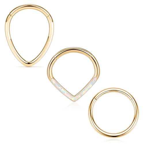 FUNLMO 4 Stück / 3 Stück Septumringe Nasenringe 316L Chirurgenstahl Daith Rook Tragus Helix Conch Piercing Schmuck Knorpelohrring für Damen Herren, Kein Edelstein FUNLMO 4 Stück / 3 Stück Septumringe Nasenringe 316L Chirurgenstahl Daith Rook Tragus Helix Conch Piercing Schmuck Knorpelohrring für Damen Herren, Kein Edelstein von FUNLMO