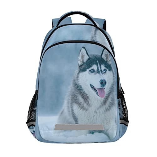 FVFV Süßer Schneewolf Jungs Studentenrucksack Kinderrucksack Büchertasche Schülerrucksack Rucksäcke für Teen Mädchen von FVFV