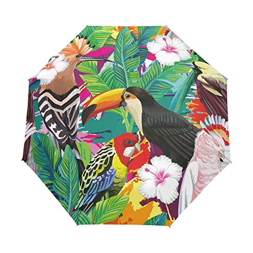 Vogel Tukan Papagei Palmblätter Regenschirm Taschenschirm Automatische Umbrella Winddichte Sonnenschutz Regenschirme Taschenschirme für Damen Herren von FVFV