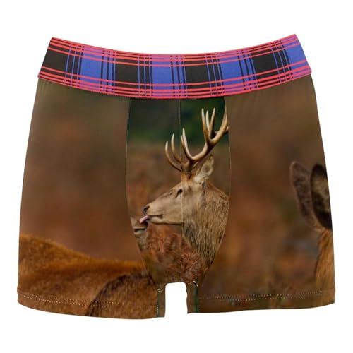 FVQL 1 Stück Herren Unterwäsche Boxershorts Hirsch Tier Muster Paar, Farbe: 20963, L von FVQL