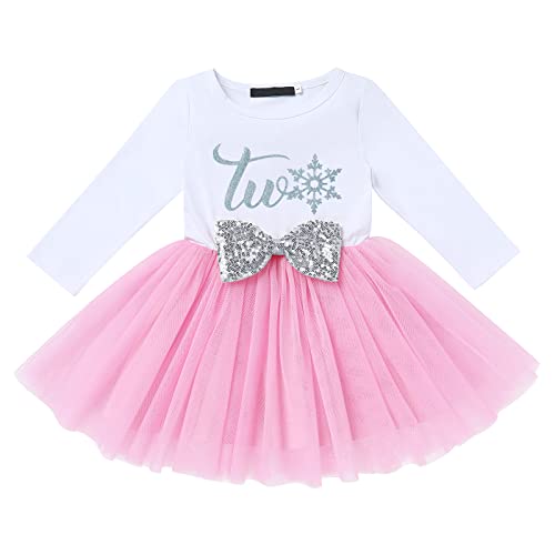 Baby Mädchen Mein 2. Geburtstag Partykleid Elsa Kostüm Baumwolle Langarm Tutu Tüll Prinzessin Kleid Festkleid Abendkleid Herbstkleid Weihnachten Fotoshooting Bekleidung Silber Schneeflocke 2 Jahre von FYMNSI