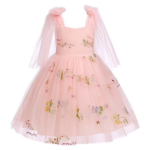Blumenm?dchen Kleid M?dchen Blumen Stickerei Tutu T?llkleid Prinzessin Partykleid Baby Taufkleid Festliches Festkleid Hochzeit Ballkleid Abendkleid Erstkommunion Kleider Fee Kost?m Rosa 3-4 Jahre von FYMNSI
