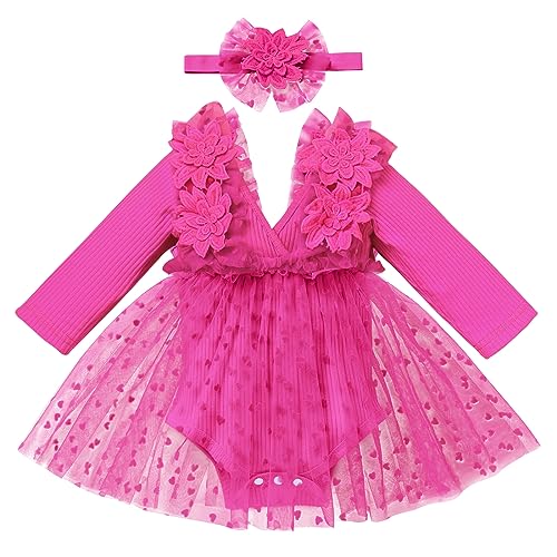 FYMNSI Baby M?dchen 1 Geburtstag Outfit Taufkleid Prinzessin T?llrock Langarm Bodykleid Kleinkinder Partykleid V-Ausschnitt Festkleid Herbstkleid Neugeborene Fotoshooting Rose Herz 0-6 Monate von FYMNSI