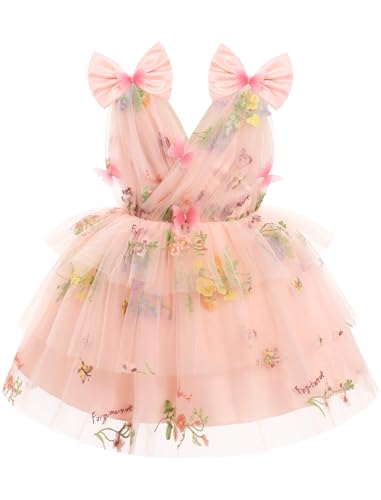 FYMNSI Baby M�dchen Geburtstag Partykleid, Kleinkinder V-Ausschnitt Prinzessin Blumen Stickerei T�llkleid Hochzeit Blumenm�dchen Festlich Festkleid Festzug Formal Abendkleid Rosa 2-3 Jahre von FYMNSI