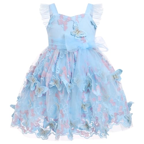 FYMNSI Baby M?dchen Kleid Schmetterling Stickerei Geburtstag Partykleid Taufkleid Kleinkinder ?rmellos T?ll T?t? Prinzessin Blumenm?dchen Hochzeit Brautjungfer Festkleid Abendkleid Blau 3-4 Jahre von FYMNSI