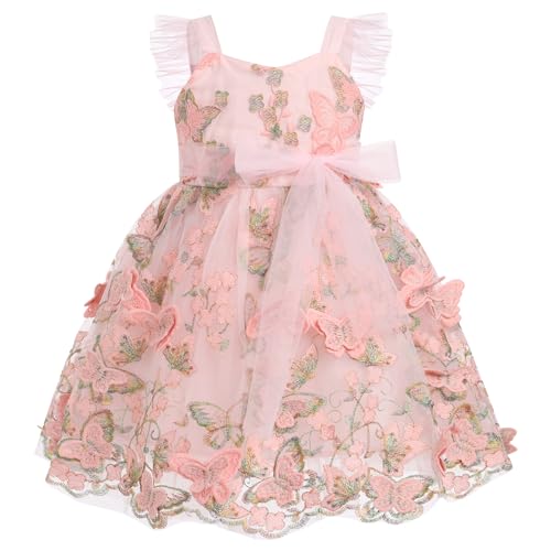 FYMNSI Baby M?dchen Kleid Schmetterling Stickerei Geburtstag Partykleid Taufkleid Kleinkinder ?rmellos T?ll T?t? Prinzessin Blumenm?dchen Hochzeit Brautjungfer Festkleid Abendkleid Rosa 2-3 Jahre von FYMNSI