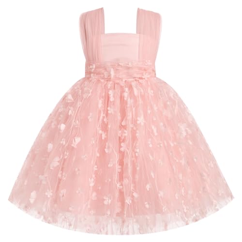 FYMNSI Baby M?dchen Prinzessin Kleider Taufkleid Kleinkinder Festlich Festkleid Blumenm?dchen Hochzeit 1. Geburtstag Partykleid Festzug Sommer T?llkleid Formal Abendkleid Babybekleidung Hellrosa 2-3J von FYMNSI