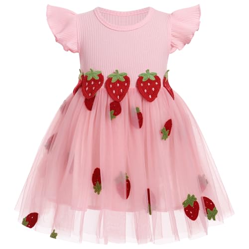 FYMNSI Baby Mädchen Erdbeere Kleid Kleinkinder Kinder Prinzessin Tüll Tütü Geburtstag Partykleid Blumenmädchenkleid A-Linie Festliches Festkleid Sommerkleid Freizeitkleid Taufkleid Casual Rosa 18-24M von FYMNSI