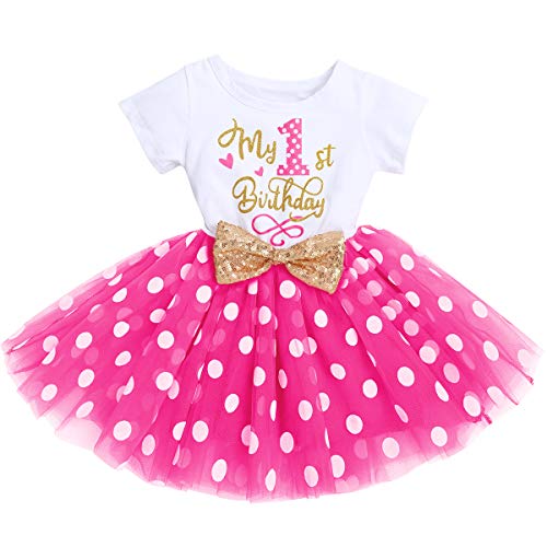 FYMNSI Baby Mädchen Mein 1. Erste Geburtstag Mini Maus Kleid Baumwolle Kurzarm Tutu Tüllkleid Gepunktet Rock Prinzessin 1 Jahr Partykleid Fotoshooting Kostüm Outfit Rose Mein 1. Geburtstag 1 Jahr von FYMNSI