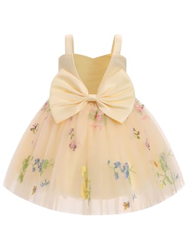 FYMNSI Blumenm�dchen Kleid Kinder Baby M�dchen Tr�ger V-Ausschnitt �rmellos Geburtstag Partykleid Prinzessin T�llkleid Hochzeit Brautjungfer Festkleid Kurzes Abendkleider Champagner 18-24 Monate von FYMNSI