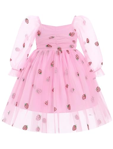 FYMNSI Blumenm�dchen Kleid Kinder M�dchen Prinzessin Geburtstag Partykleid Erdbeere T�t� T�llkleid Festliches Festkleid Langarm Hochzeit Brautjungfer Abendkleider Ballkleid Rosa 3-4 Jahre von FYMNSI