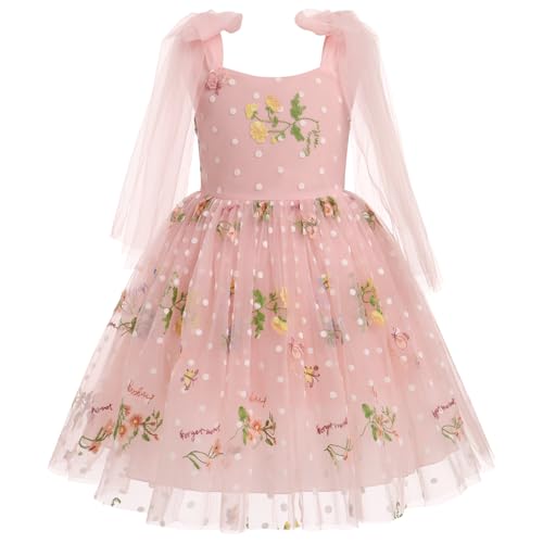 FYMNSI Blumenm�dchen Kleid M�dchen Blumen Stickerei Tutu T�llkleid Prinzessin Partykleid Baby Taufkleid Festliches Festkleid Hochzeit Ballkleid Abendkleid Erstkommunion Kleider Fee Kost�m Rosa 3-4J von FYMNSI