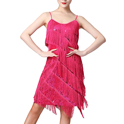 FYMNSI Damen Gl�nzende Pailletten Kleider Mit Quaste V-Ausschnitt Latein Tanzkleid Fransenkleid Partykleid Samba Tango Latin Salsa ChaCha Kleid 1920er Jahre Flapper Kost�me Wettbewerb Rose M von FYMNSI