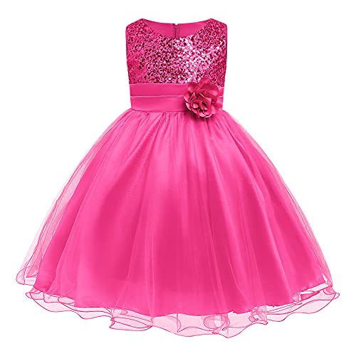 FYMNSI Kinder Mädchen Pailletten Kleid Blumenmädchen Tüllkleid Hochzeit Brautjungfer Tütü Prinzessin Kurzes Partykleid Kleinkinder Geburtstagskleid Ballkleid Ärmellos Sommerkleid Rose 5-6 Jahre von FYMNSI