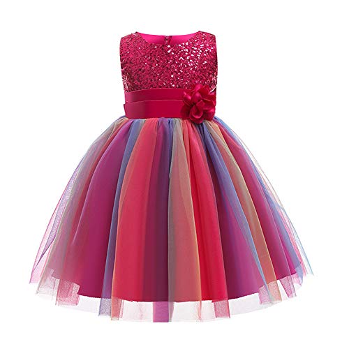 Kinder Mädchen Pailletten Kleid Blumenmädchen Regenbogen Tüllkleid Hochzeit Brautjungfer Tütü Prinzessin Kurzes Partykleid Kleinkinder Geburtstagskleid Ballkleid Ärmellos Sommerkleid Rose 3-4 Jahre von FYMNSI