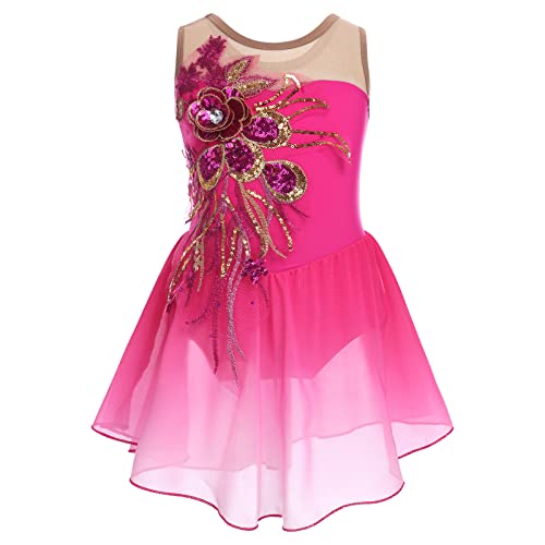 Mädchen Eiskunstlauf Kleid Pailletten Blumen Ballettkleid Chiffon Tanzkleid Ärmellos Turnanzug Gymnastikanzug Kinder Swing Skater Ballettkleidung Tanzkostüm Trikot Einteiler Body Rose 3-4 Jahre von FYMNSI