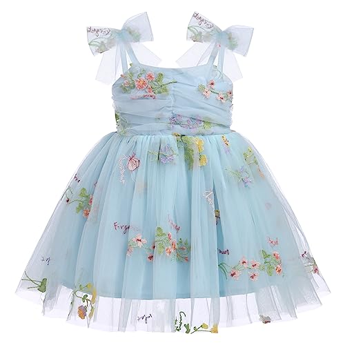 Taufkleid Baby M?dchen Prinzessin Kleid Erster 1 Geburtstag Outfit 1 Jahr Geburtstagskleid Partykleid Blumen Stickerei Tr?gerkleid Sommerkleid Festliches Festkleid T?llkleid Fotoshooting Blau 2-3J von FYMNSI