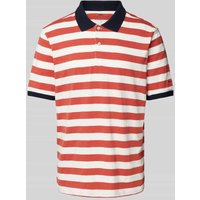 Fynch-Hatton Regular Fit Poloshirt mit Streifenmuster in Offwhite Melange, Größe XXL von FYNCH-HATTON