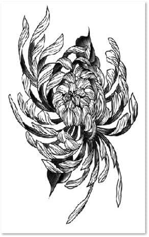 2 Stück Kräuter-Tattoo-Aufkleber, Chrysanthemen-Armsaft, Für Männer Und Frauen, Tattoo-Tattoos, Nicht Reflektierend, Wasserdicht, Langlebig von FYRHLH