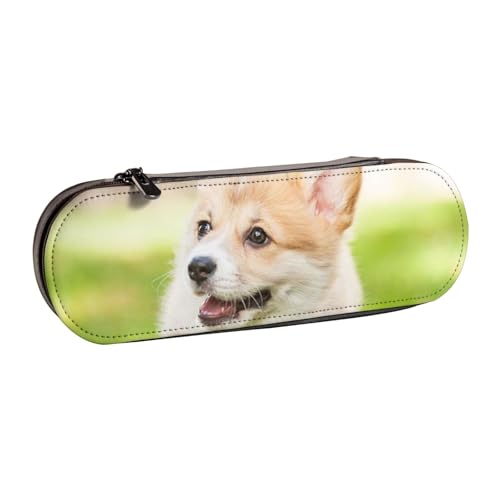 FZGGWYHL Corgi Federmäppchen mit Welpen-Motiv, aus Leder, tragbar, Aufbewahrungstasche von FZGGWYHL