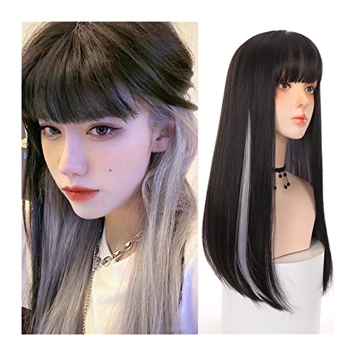 Perücken Langes glattes Haar Perücke mit Pony Naturschwarz mit Highlight Silber Gerade Perücke Synthetische Gerade Tägliche Party Cosplay Perücke for Frauen Perücke von FZL02068LM