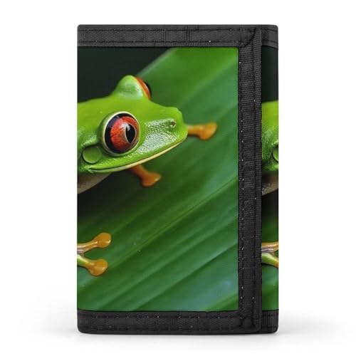 FZQVSGW Cypress Trees Outdoors Trifold Wallet Coin Purse With 8 Card Slots Credit Card Holder Divided Billfold Wallet, Frosch mit grünen Blättern, Einheitsgröße, Modern von FZQVSGW