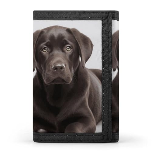 FZQVSGW Planet Stars and Galaxy Trifold Wallet Coin Purse With 8 Card Slots Credit Card Holder Divided Billfold Wallet, hund, Einheitsgröße, Modern von FZQVSGW