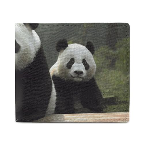 FZQVSGW Planet Stars and Galaxy Wallet Leder Bifold Wallet Slim und Stylish PU Kartenhalter Kleine Münzbörse, Panda, Einheitsgröße von FZQVSGW