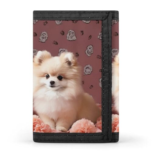 FZQVSGW Pomeranians Puppies And Point Trifold Wallet Coin Purse With 8 Card Slots Credit Card Holder Divided Billfold Wallet, Zwergspitz Welpen und Spitze, Einheitsgröße, Modern FZQVSGW Pomeranians Puppies And Point Trifold Wallet Coin Purse With 8 Card Slots Credit Card Holder Divided Billfold Wallet, Zwergspitz Welpen und Spitze, Einheitsgröße, Modern von FZQVSGW