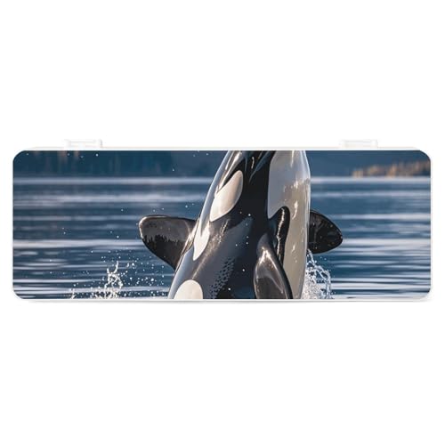 FZQVSGW Schreibwarenbox mit abnehmbarem Design, kreative minimalistische Aufbewahrungsbox, Orca-Killer-Wal, ABS, langlebiges Federmäppchen, 180 ° flach liegend, sicherer Schnappverschluss für von FZQVSGW