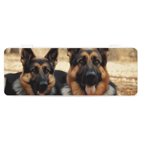 FZQVSGW Schreibwarenbox mit abnehmbarem Design, kreative minimalistische Aufbewahrungsbox, braunes Pferd, ABS, langlebiges Federmäppchen, 180° flach aufliegend und sicherer Schnappverschluss für von FZQVSGW